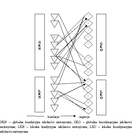 Rycina 16 Zależności pomiędzy globalnymi i lokalnymi przejawami kondycyjnych i koordynacyjnych zdolności motorycznych (n = 176)