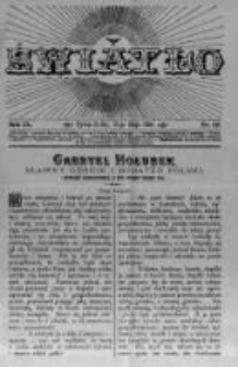 Światło. Pismo Ludowe Ilustrowane Poświęcone Nauce i Rozrywce. 1895 R.9 nr10