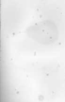 Ogrodnik Polski. 1895 R.17 nr22