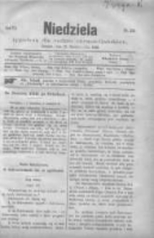 Niedziela: tygodnik dla rodzin chrześcijańskich 1880.10.17 R.6 Nr316