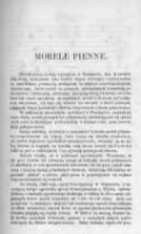 Ogrodnik Polski. 1896 R.18 nr2