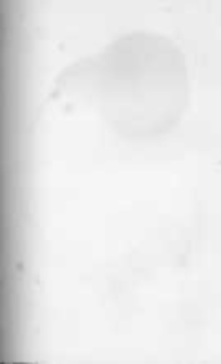 Ogrodnik Polski. 1896 R.18 nr8