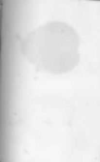 Ogrodnik Polski. 1896 R.18 nr22