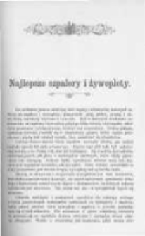 Ogrodnik Polski. 1903 R.25 nr17