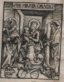 De animabus a corporibus exutis: Tractatus compendiosę ac studiosę collectus