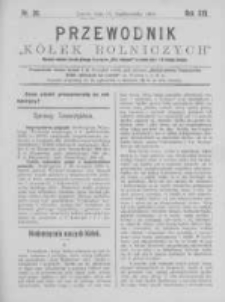 Przewodnik "Kółek rolniczych". R. XIII. 1899. Nr 20