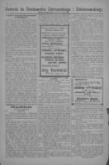 Dodatek do Orędownika Ostrowskiego i Odolanowskiego 1928.07.10