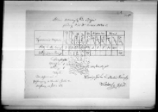 Pułk 4 strzelców konnych 2 Dywizji Jazdy (raporty, stany etc.)