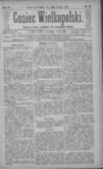 Goniec Wielkopolski: najtańsze pismo codzienne dla wszystkich stanów 1882.02.10 R.6 Nr33