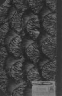 Uniwersytet Poznański: spis wykładów na rok akademicki 1938/39