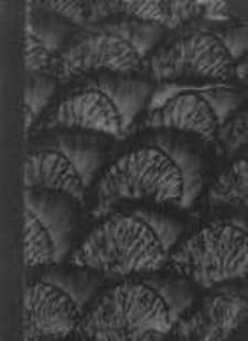 Uniwersytet Poznański: spis wykładów na rok akademicki 1948/49