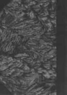 Uniwersytet im. Adama Mickiewicza: spis wykładów na rok akademicki 1956/57