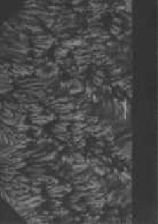 Uniwersytet im. Adama Mickiewicza: spis wykładów na rok akademicki 1961/62