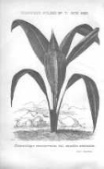 Ogrodnik Polski: dwutygodnik poświęcony wszystkim gałęziom ogrodnictwa 1882 R.4 T.4 Nr7