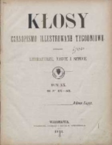 Kłosy: czasopismo ilustrowane, tygodniowe, poświęcone literaturze, nauce i sztuce 1874.12.22(1875.01.07) T.20 Nr497