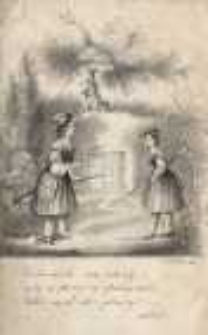 Papugi naszej babuni