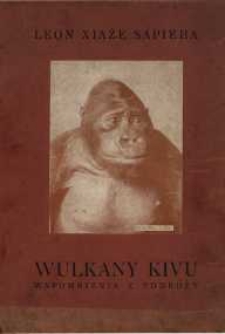 Wulkany Kivu