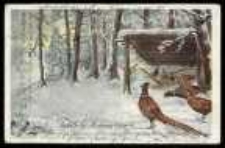 Bażanty zimą na podsypie - Fröhliche Weihnachten!