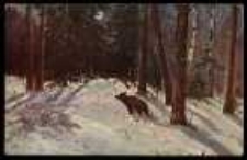 Noc księżycowa - Le clair de la lune