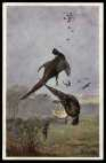 Polowanie na bażanty I