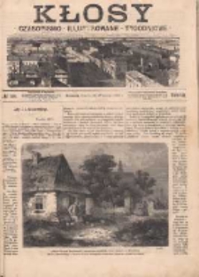 Kłosy: czasopismo ilustrowane, tygodniowe, poświęcone literaturze, nauce i sztuce 1868.09.05(17) T.7 Nr168