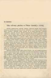 Idea ochrony ptactwa w Polsce dawniej a dzisiaj