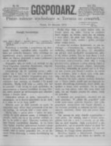 Gospodarz. 1874.08.13 R.3 nr33