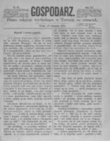 Gospodarz. 1874.11.19 R.3 nr47
