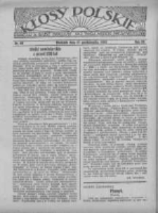 Kłosy Polskie 1933.10.22 R.25 Nr40