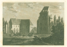 Zamek w Szamotułach