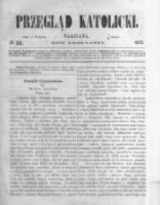 Przegląd Katolicki. 1875.08.19 R.13 nr33