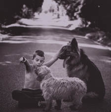 Kajtek wracaj do domu