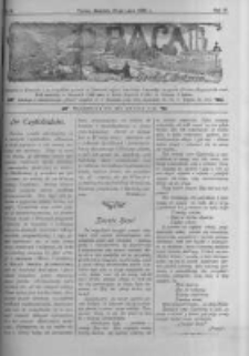 Praca: tygodnik illustrowany. 1900.07.29 R.4 nr31