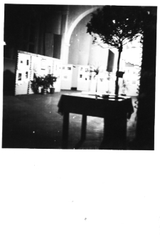 Fragmenty wystawy [1]