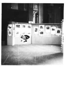 Fragmenty wystawy [3]