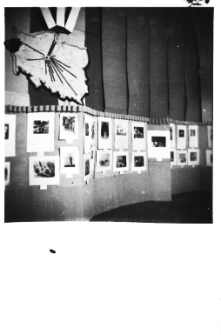 Fragmenty wystawy [8]