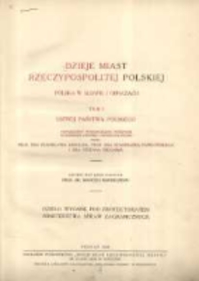Dzieje miast Rzeczypospolitej Polskiej: Polska w słowie i obrazach T.1 Ustrój państwa polskiego