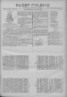 Kłosy Polskie: dodatek literacki i powieściowy do "Orędownika" 1912.10.06 Nr40