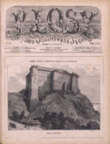 Kłosy: czasopismo ilustrowane, tygodniowe, poświęcone literaturze, nauce i sztuce 1881.11.05(17) T.33 Nr855