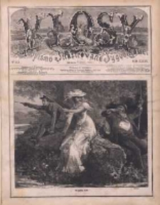 Kłosy: czasopismo ilustrowane, tygodniowe, poświęcone literaturze, nauce i sztuce 1881.08.20(09.01) T.33 Nr844