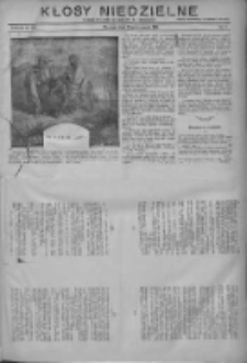 Kłosy Niedzielne: dodatek literacki i powieściowy do "Orędownika" 1911.01.15 Nr3