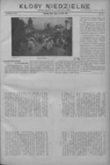 Kłosy Niedzielne: dodatek literacki i powieściowy do "Orędownika" 1911.04.09 Nr15