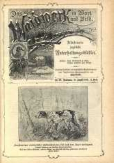 Das Waidwerk in Wort und Bild 1892-1893 Nr22
