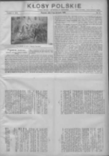 Kłosy Polskie: dodatek literacki i powieściowy do Orędownika 1913.08.03 R.5 Nr31