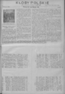 Kłosy Polskie: dodatek literacki i powieściowy do Orędownika 1913.11.02 R.5 Nr44