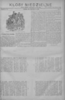 Kłosy Niedzielne: dodatek literacki i powieściowy do "Orędownika" 1912.01.28 Nr4