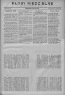 Kłosy Niedzielne: dodatek literacki i powieściowy do Nr35 "Orędownika" 1910.02.13