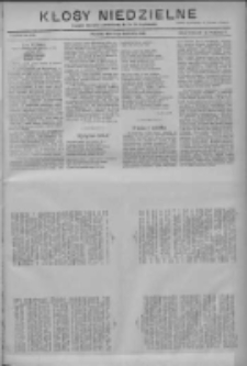Kłosy Niedzielne: dodatek literacki i powieściowy do Nr76 "Orędownika" 1910.04.03