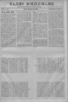 Kłosy Niedzielne: dodatek literacki i powieściowy do Nr174 "Orędownika" 1910.07.31