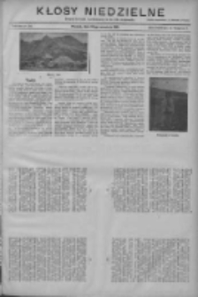 Kłosy Niedzielne: dodatek literacki i powieściowy do Nr220 "Orędownika" 1910.09.25